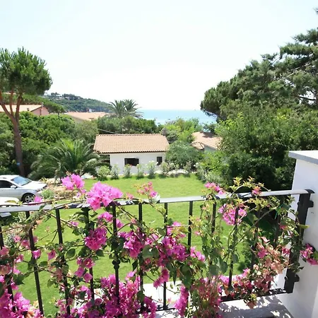 Albatros Aparthotel